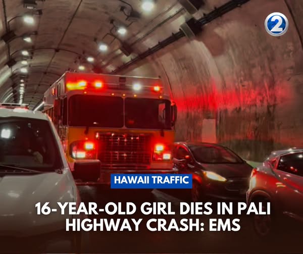 Pali Highway Crash Today: Fatal Accident in Hawaii Causes Major Traffic Disruption