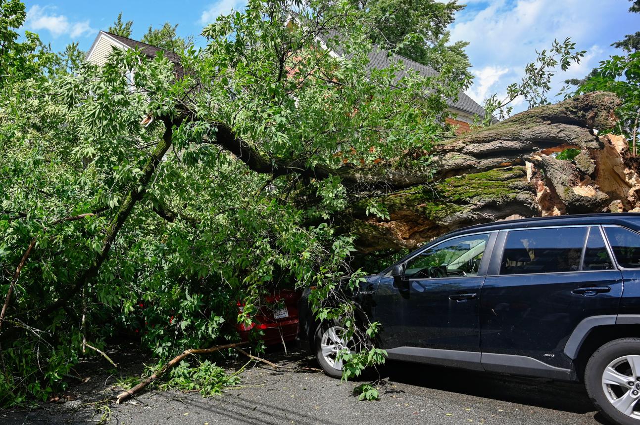 Severe Storms Impact Worcester, Massachusetts as Tornado Concerns Are Investigated